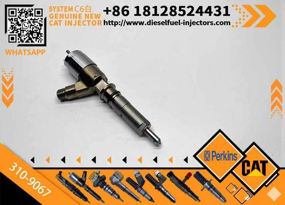 310-9067 3109067 Common Rail Diesel Fuel Injector Assembly for Caterpillar CAT C6.6 Engine