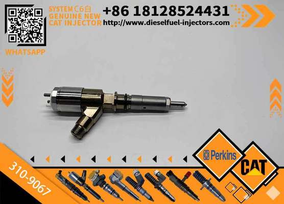 310-9067 3109067 Common Rail Diesel Fuel Injector Assembly for Caterpillar CAT C6.6 Engine