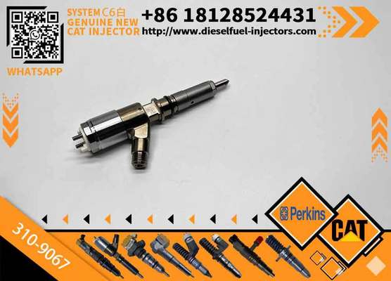 310-9067 3109067 Common Rail Diesel Fuel Injector Assembly for Caterpillar CAT C6.6 Engine