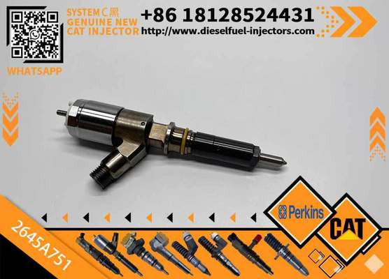 High Quality New Fuel System Parts Diesel Fuel Injector 320-0655 2645A751 1106D-E66TA for Caterpillar CAT C6.6 Perkins