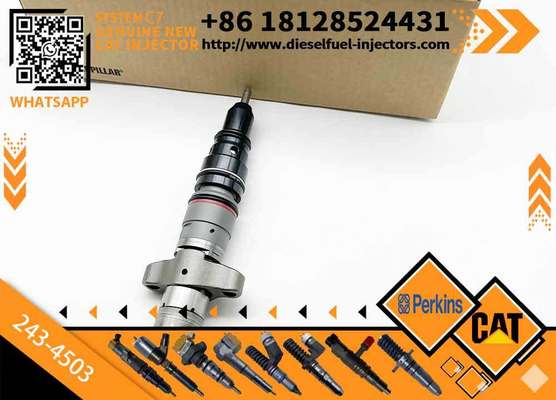 For Caterpillar C7/C9 Engine Injectors 217-2570 235-2888 387-9429 3879433 293-4071 387-9427 243-4503 20R-8067 263-8218 387-9441