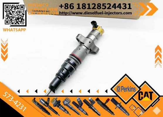 High Quality CAT Diesel Common Rail Injector 217-2570 573-4231 557-7634 293-4074 for Engine Engine